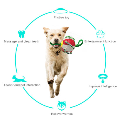 Interactive Dog Toy